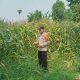 Bhabinkamtibmas BP Peliung Pantau Jagung di Lahan Satu Hektare, Dorong Warga Optimalkan Lahan Kosong