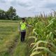 Optimalkan Potensi Pertanian Daerah, Polsek Madang Suku I Dampingi Petani Jagung Desa Bangsa Negara