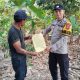 Cegah Karhutla Sejak Dini, Polsek BP Peliung Gencar Sosialisasi dan Pasang Banner Imbauan di Desa Negeri Agung